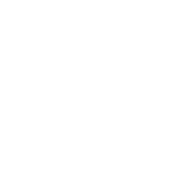 LearningFlix